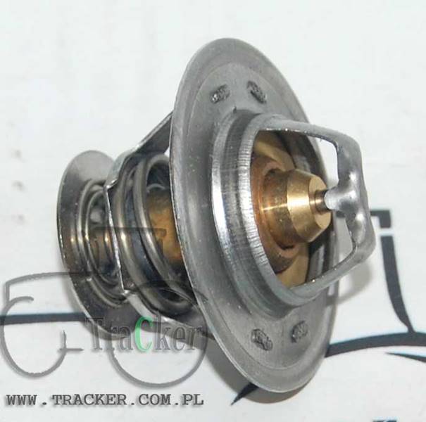 TERMOSTAT CASE 