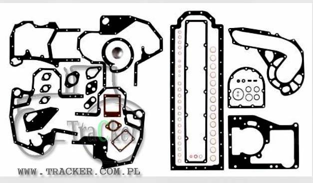 ZESTAW USZCZELEK CASE 6 CYL D310, D350 KPL SIL