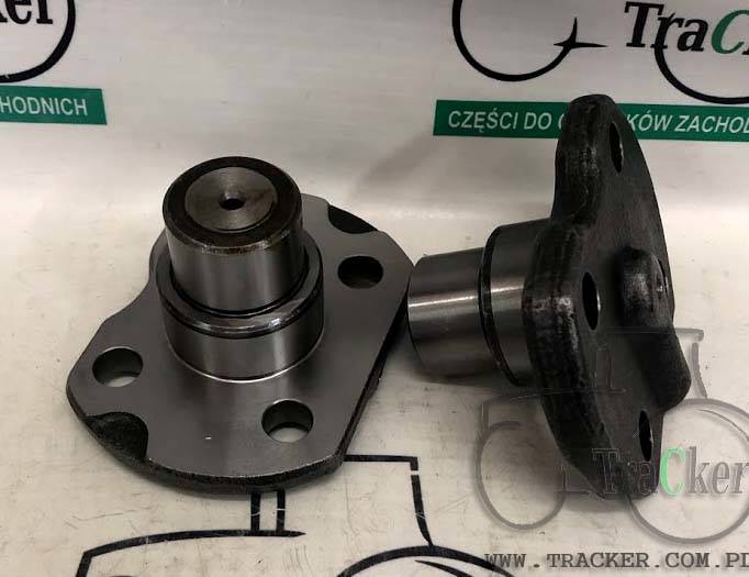 SWORZEŃ GÓRNY ZWROTNICY