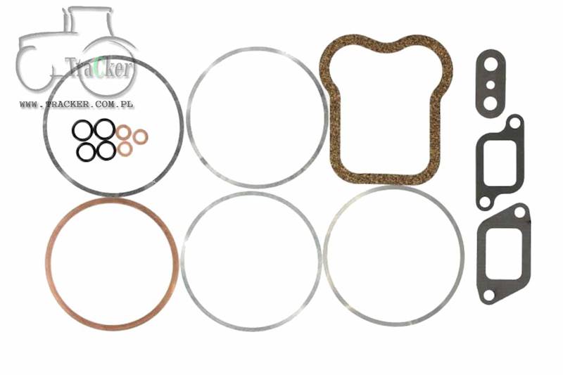 ZESTAW USZCZELEK GŁOWICY SAME fi 113,50