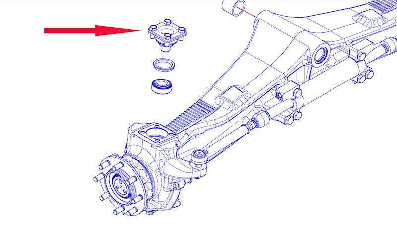 SWORZEŃ ZWROTNICY CAT 1987838