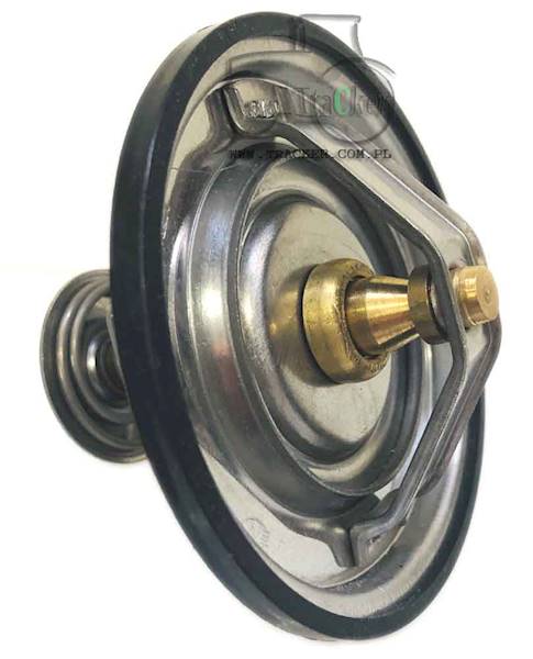 TERMOSTAT FENDT fi85