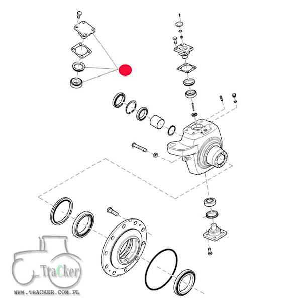CZOP ZWROTNICY SPICER DANA