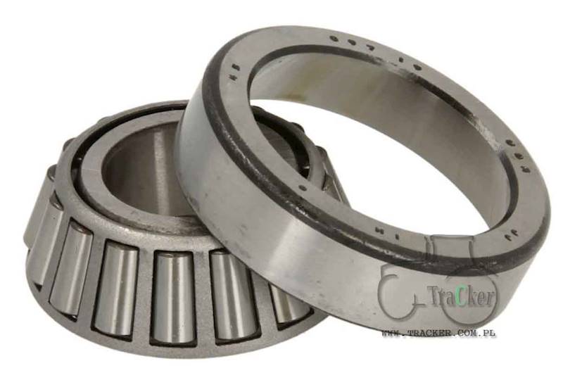 CZOP ZWROTNICY DANA SPICER