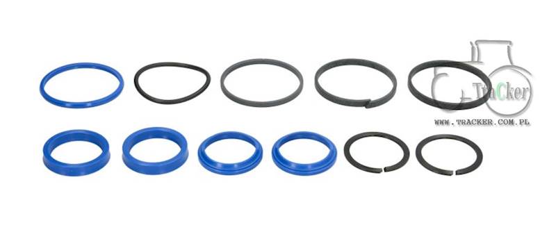 ZESTAW USZCELNIEŃ SIŁOWNIKA CLAAS CARRARO