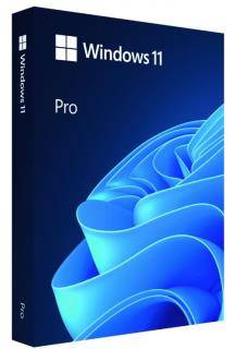 PROGRAM WINDOWS 11 PRO 64BIT PL