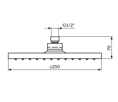 STOLZ Głowica natryskowa 250x250