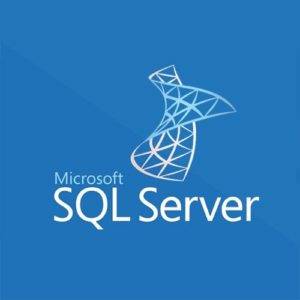 MS SQL 2019 CAL Standard Runtime 