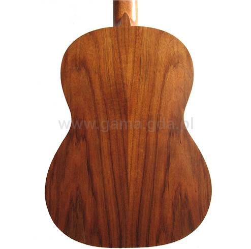 Gitara klasyczna JMR-101 MAT CEDR