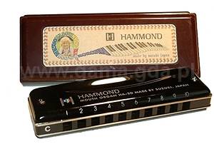 Harmonijka HA-20G Suzuki Hammond