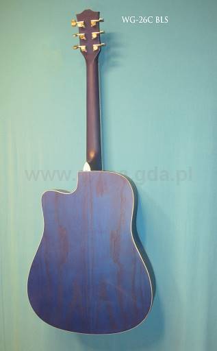 Gitara ak. WG-26C BLS WestRoad