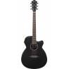 IBANEZ AEG 6-Str Weathered Black Open Pore