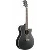 IBANEZ AEG 6-Str Weathered Black Open Pore