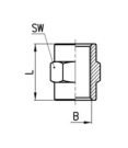 CAMOZZI 2543 3/8 MUFA GW 3/8''