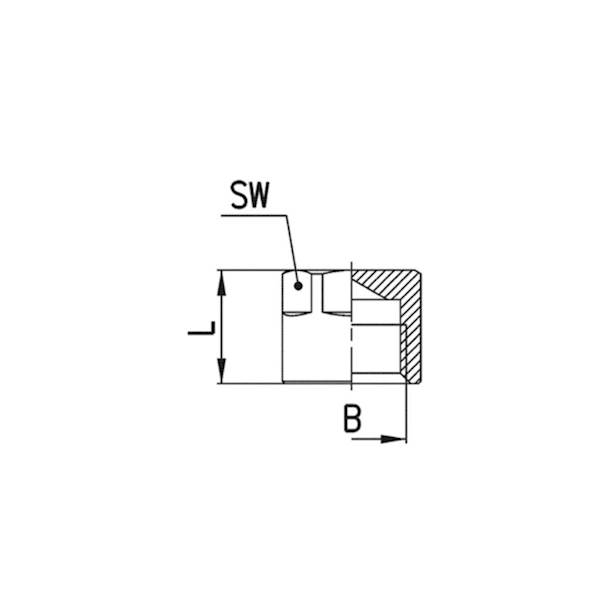 CAMOZZI 2613 1/8 KOREK GW 1/8